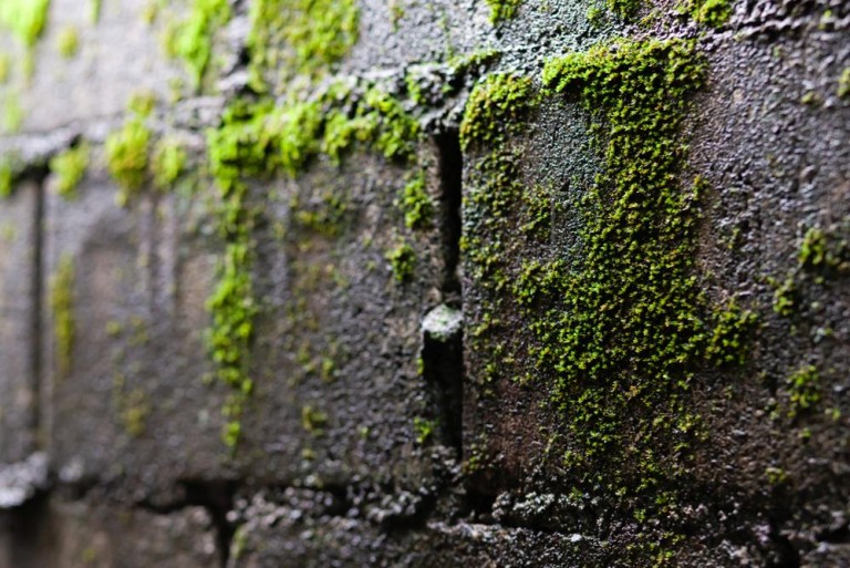 Comment réussir le ravalement de votre façade à Cappelle-en-Pévèle ?